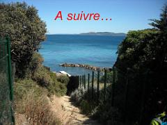 183 D20 PRESQU ILE DE GIENS 3_000041